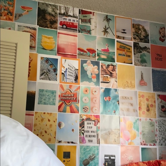 Meet your Posher, Sara - Picture 1 of 1